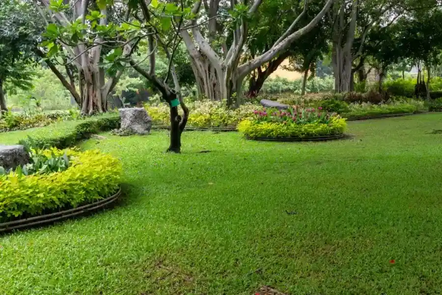 Expert Landscape Maintenance Lynn MA Expert Landscape Maintenance Lynn MA